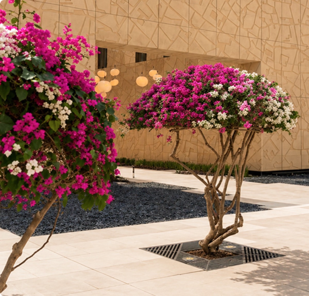 مشروع مكاتب البساتين