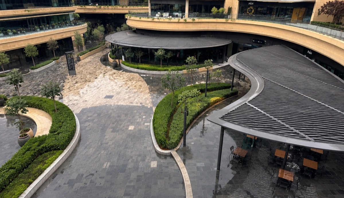 Complex 1364 landscape — overview
