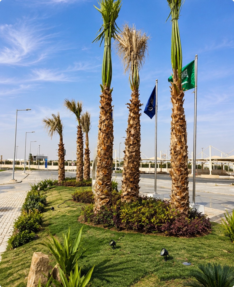 Irrigation system installation Riyadh — Qunnabah